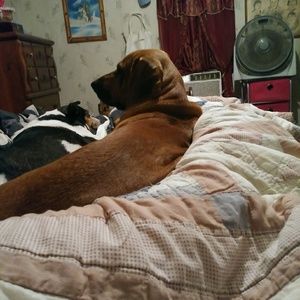 Meet your Posher, Brenda